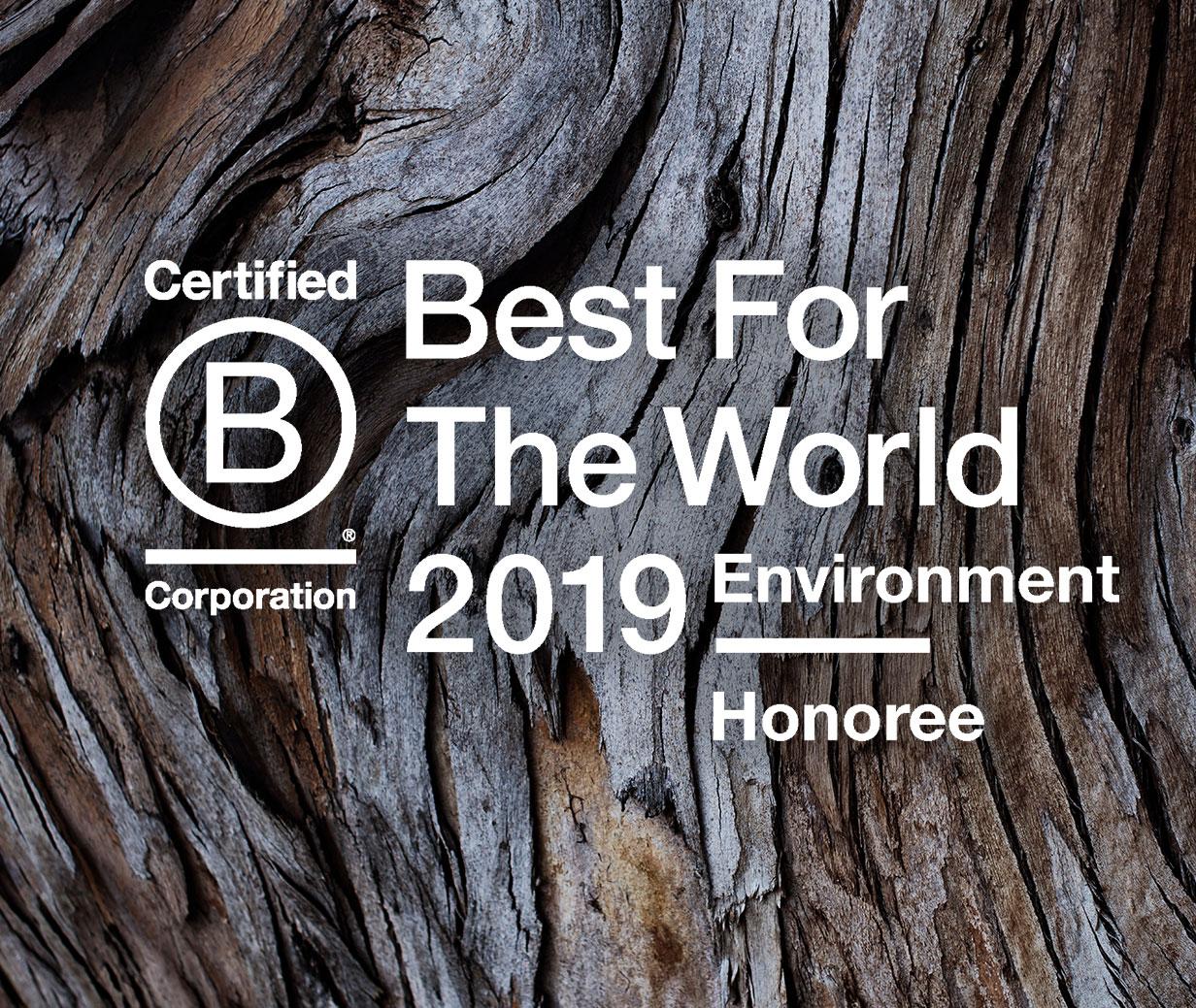 What does it mean to be a B Corp? 